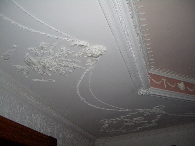 DR Ceiling  Detail#2 — Some Interior Photo's of Our Home (Elegant Lady B&B Nichols NY) 