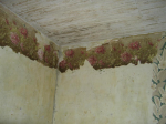 CIMG2186 (Large) — Decorated ceilings