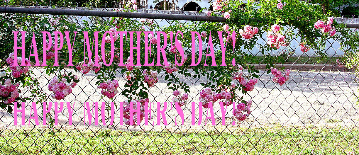 Copy of Happy Mothers Day — bradley & hubbard brass aesthetic mirrors